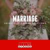 Marriage