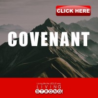 Covenant (TV)